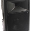 Gemsound PX-125  - 2 way 2 speaker - P21600 pair