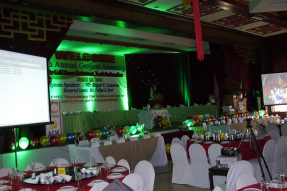CAC Colored LED Lighting for Events & Parties (CEMVEDCO)