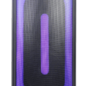 Switch Double 12" Portable TWS Bluetooth Karaoke Party Speaker SW-BT1253TWS